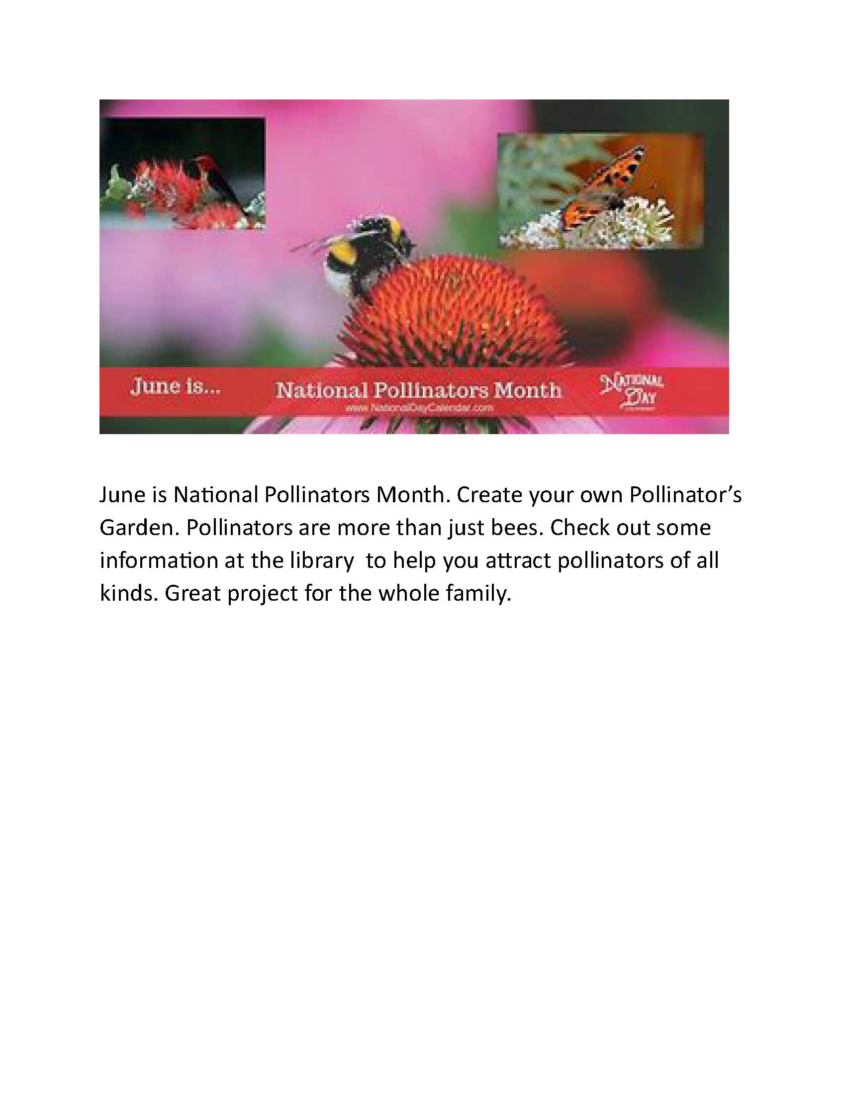 June is Pollinators Month.jpg
